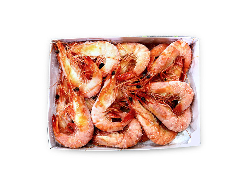 Cooked Live White Prawn