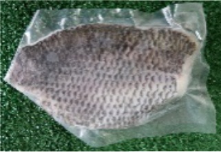 TILAPIA FILLET SO 挪威尼罗红