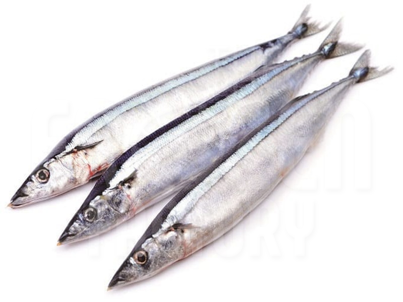 Sanma 秋刀鱼