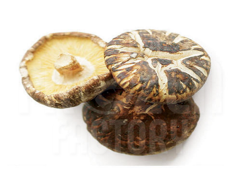 Dried Mushroom(M) 4/5CM 茶花菇 (200G/500G)
