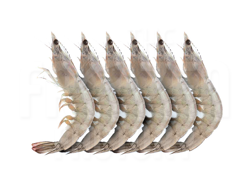 Family Pack - Frozen Raw White Prawn 26/30, 31/40, 41/50 小盒装-速冻鲜白虾 (380G) 