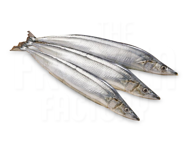 Sanma 秋刀鱼 (3PCS/PKT)