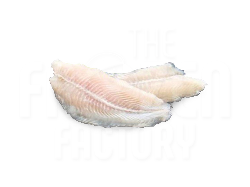 IQF Sutchi/Dory Fillet  多利鱼片 (4 PCS/PKT) - 1KG