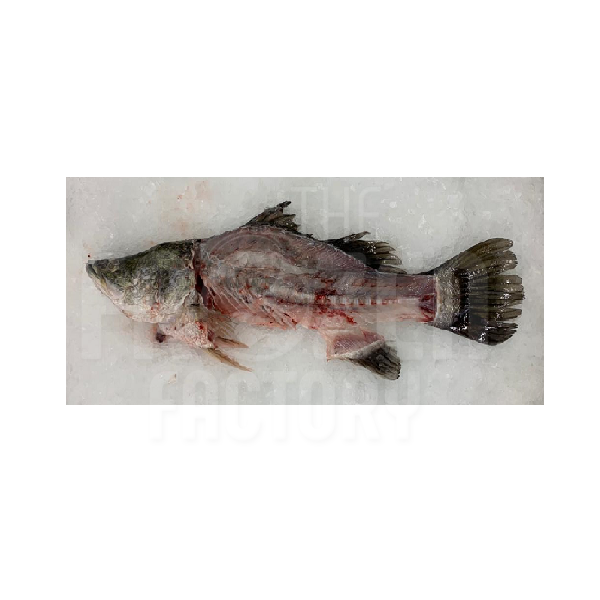 Frozen Seabass Head & Bone 金目鲈鱼头 & 鱼骨 (1KG±)