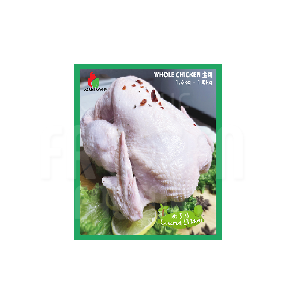 Abadi Coconut Whole Chicken 椰子鸡-全鸡 (1.6-1.8KG)