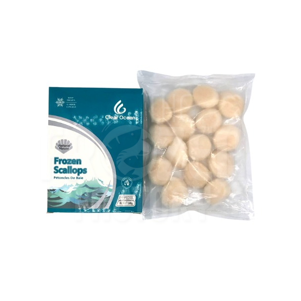 Canada Scallop 20/30 加拿大带子 (1KG)
