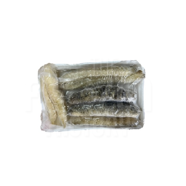 Frozen Sea Cucumber (Tu Shen) 秃参 (500G)